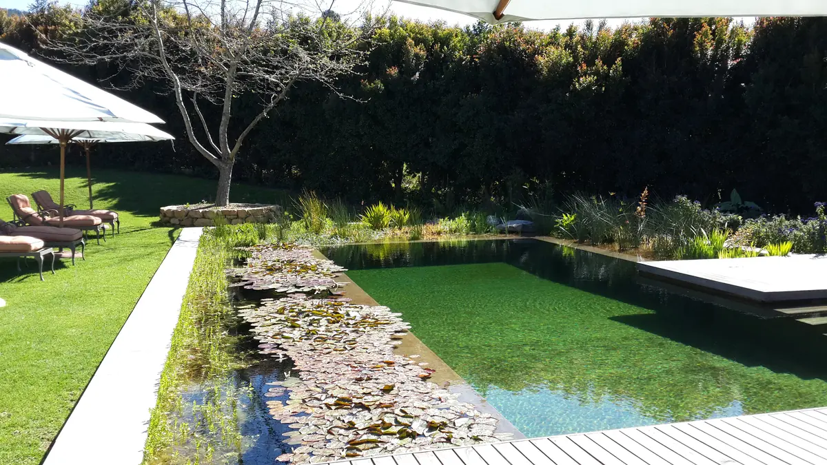Angala Hotel natural swimming pool — Stellenbosch